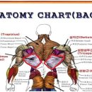 몬스터짐 이미지