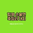 배들공인중개사사무소 이미지