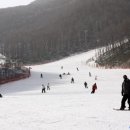 하이원민박 이미지