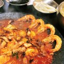 쭈꾸미집 이미지