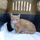 포스코대로 이미지