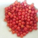 월계경로당 이미지