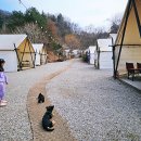 하늘숲 | 서울근교 1시간 아이와 주말여행 가평캠핑장 하늘숲글램핑 솔직후기