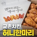 교촌치킨 국제신도시점 | 교촌치킨 허니한마리:) 허니콤보 비교 가격 칼로리 후기 내돈내산 교촌 앱 포장 할인 추천