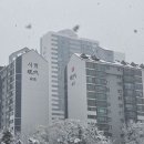 샛별부동산공인중개사사무소 이미지