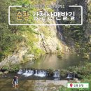 김용순본가 | 전북 순창 강천산_아이랑 걷기 좋은 힐링 여행지, 맨발산책길 추천