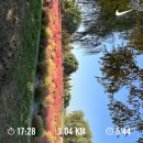 지음약국 | 번아웃이고 면역력 떨어졌는데 활동은 많이 한..;