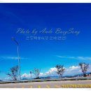 백송민박 이미지