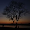 나무와사람들 이미지