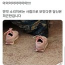 혜미네산꼼장어 - 동대문구 장한로 155 | 혜미네산꼼장어