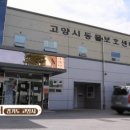 고양시 동물보호센터 이미지