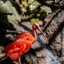 안테나짐 이미지