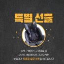 쌔카스팀세차 | 인천 더뉴카니발 쌔카스팀 프리미엄스팀세차 후기