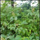 채기농장 이미지