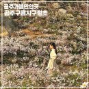 구절암 | 대전 근교 가을 드라이브 데이트 공주 구룡사 구절초 꽃축제
