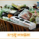초록유 이미지