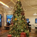 레몬PC랜드 | [카페] 대전 둔산동 대형카페, 리셉션 - 크리스마스 트리와 포근한 연말 분위기