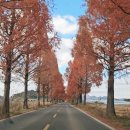 GS25 봉강점 이미지