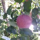 부림3길 이미지