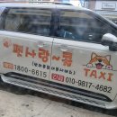 펫사랑 콜 이미지