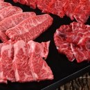 270-2591 | 안녕? Sigma 18-250mm F3.5-6.3 DC MACRO OS HSM 만나서 반가워~