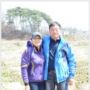 신영초등학교 이미지