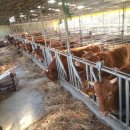 청풍한우농장 이미지