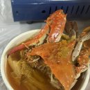 133 | 충남 태안 맛집 덕수식당 게국지&amp;돌게장 평일 웨이팅 내돈내산 후기