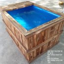 연못이 있는 집 | 미니 연못 후기 삶의 질이 달라지는 경험