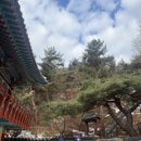 종로-현장-종로-세-137 | [서울 종로구] 2025 12, 겨울 금선사 템플스테이 1박 2일