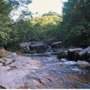학동천 이미지