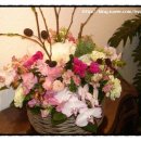 서교초교 이미지