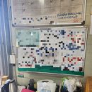 유라농장 | 귤농장 일기 34. 유라실생 판매 최종 후기