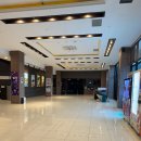 코델리아 이미지