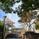 초등 플루트 | 전주 여행 객사 카페 객리단길 디드 라떼 바나나푸딩 달달 맛죠아