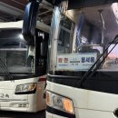 사일회송어농어 | 뚜벅이 부부 산천어축제 2026 후기 예약 낚시터 vs 현장 낚시터