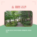 화원어린이공원 이미지