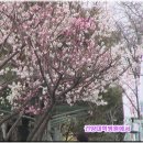 공주-58 이미지