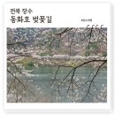 번암초등학교 동화분교 | 장수 동화호 벚꽃길, 전세낸듯 여유롭게 즐길수 있는 숨은 벚꽃여행지
