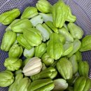 정수농장 이미지