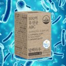 담백