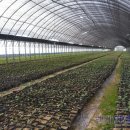 (주)나무연구소 이미지