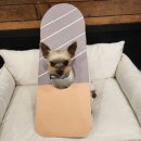 덕분이야모든개 이미지