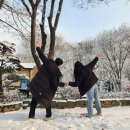 파주파인밸리 | 파주 파인밸리 수테라스 후기(내돈내...예약?)