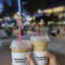 매머드익스프레스 - 성남시 분당구 야탑로75번길 15 | 매머드익스프레스