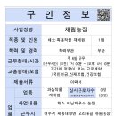 핍티식스