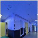 용인대수석태권도 이미지