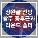 피트너피티스튜디오 이미지