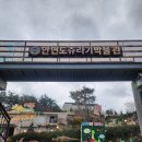 쥬라기별빛쉼터 | [안면도 여행 II] 공룡과 함께하는 하룻밤, &#39;쥬라기 별빛 쉼터 펜션&#39;