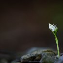 알봉 둘레길 이미지